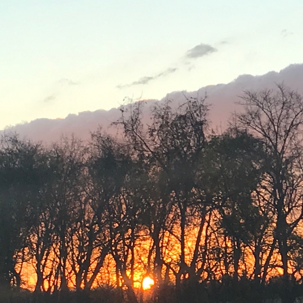 Meet your Posher, Anikka